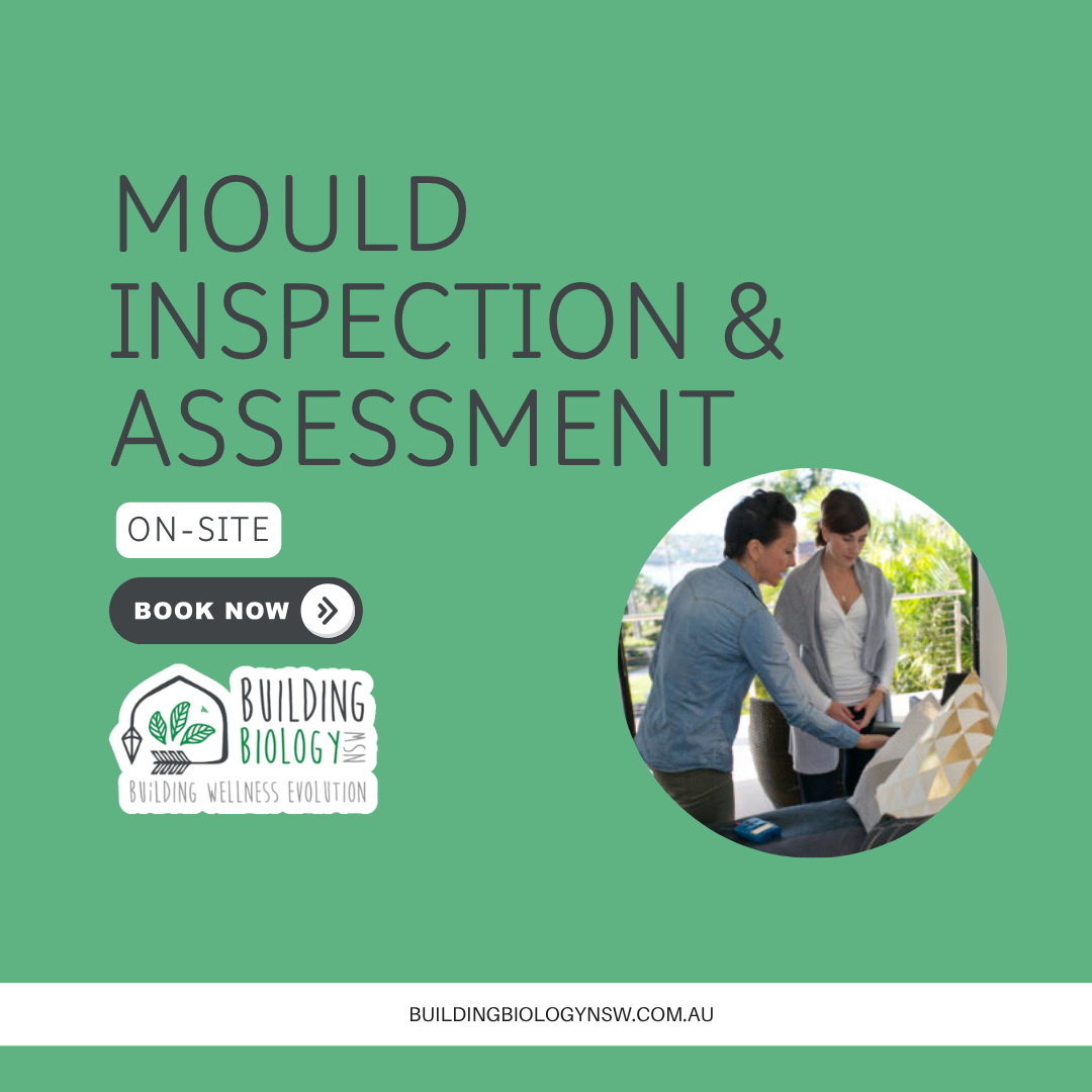 Mould Investigation - From $850